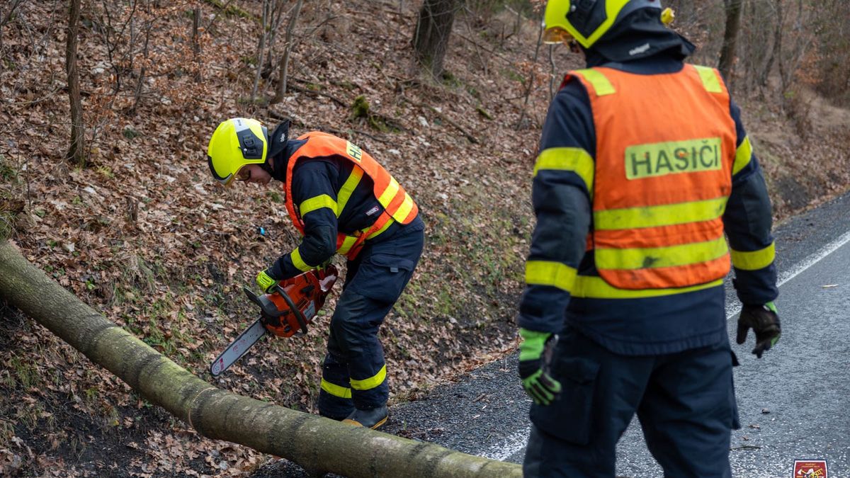 Popadané stromy, hasiči bez oddychu. Vichr zasáhl Moravskoslezský a Zlínský kraj